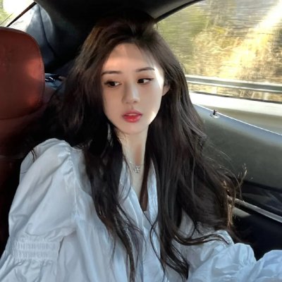 美洲狮公司封面