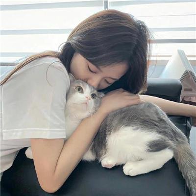 爱恋安迪·哈迪封面